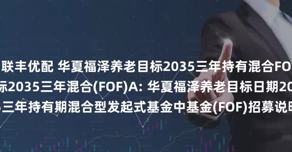 联丰优配 华夏福泽养老目标2035三年持有混合FOF)Y,华夏福泽养老目标2035三年混合(FOF)A: 华夏福泽养老目标日期2035三年持有期混合型发起式基金中基金(FOF)招募说明书更新(2025年7月17日公告)
