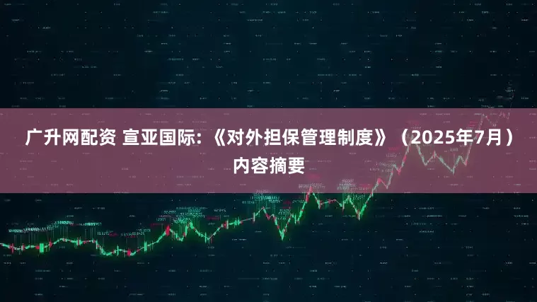 广升网配资 宣亚国际: 《对外担保管理制度》（2025年7月）内容摘要