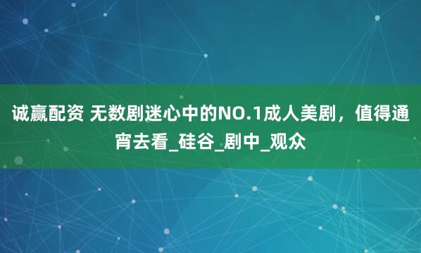 诚赢配资 无数剧迷心中的NO.1成人美剧，值得通宵去看_硅谷_剧中_观众
