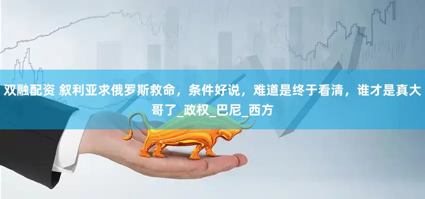 双融配资 叙利亚求俄罗斯救命，条件好说，难道是终于看清，谁才是真大哥了_政权_巴尼_西方