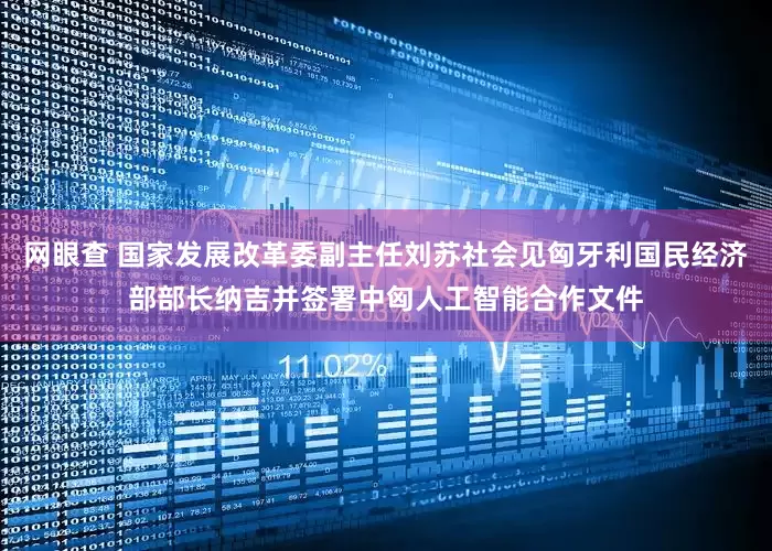 网眼查 国家发展改革委副主任刘苏社会见匈牙利国民经济部部长纳吉并签署中匈人工智能合作文件