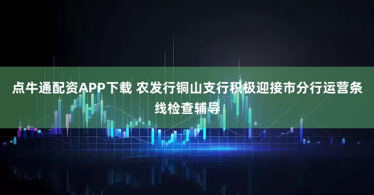 点牛通配资APP下载 农发行铜山支行积极迎接市分行运营条线检查辅导